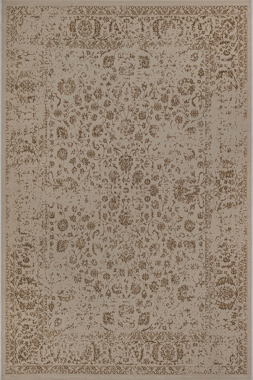 Creation 50356 Braun